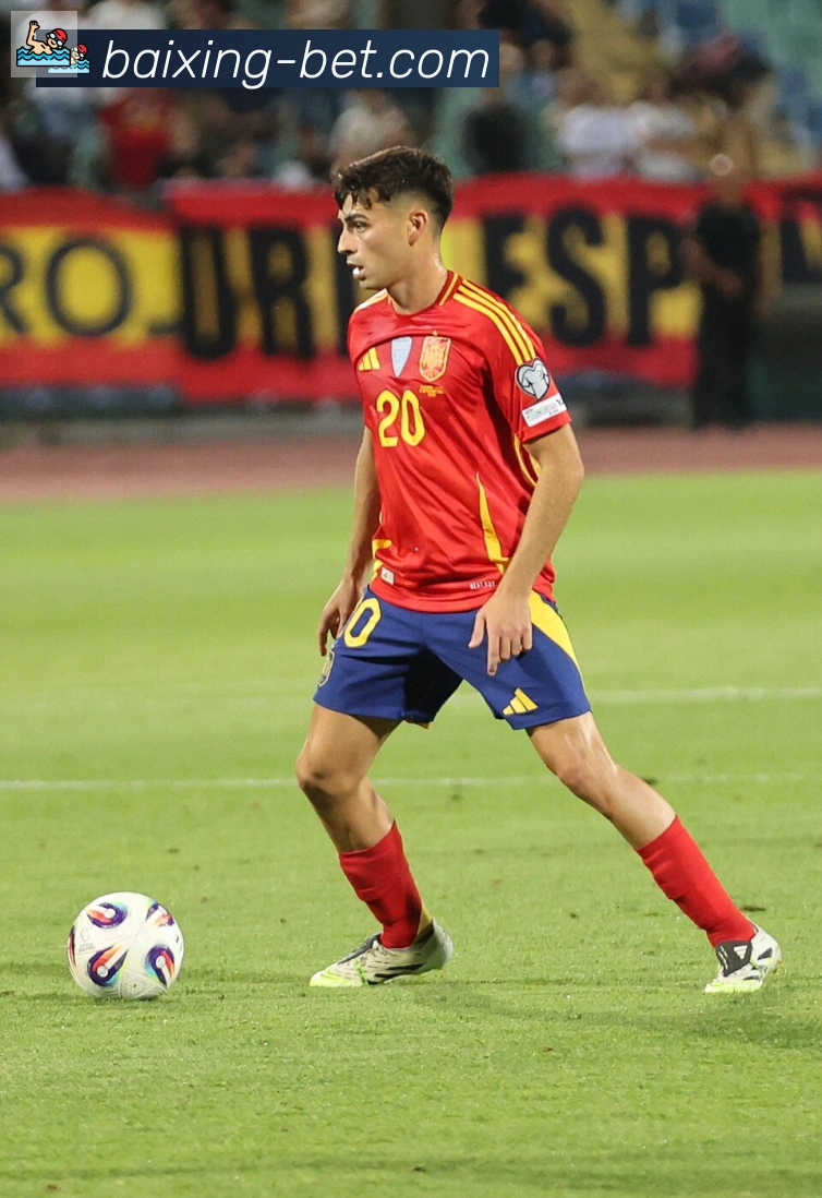 维尼修斯